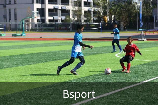 Bsport公司简介图片